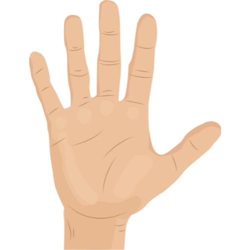 Open Hand